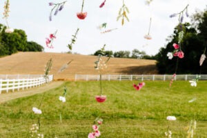 20240622 4167 600x400 1 Blog