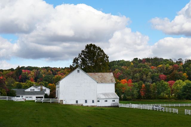 How to Choose a Wedding Venue That Matches Your Vision (Not Just Your Budget)
