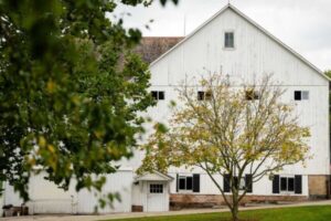 klodt photography3 600x400 1 Blog